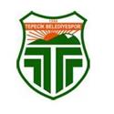 Tepecik(U23) logo