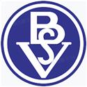 เบรเมอร์ เอสวี logo