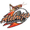 อเลบบีเจ็ต เดอ โออาซากา logo