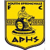 South Springvale SC logo
