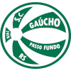 เกาโช่อาร์เอส logo
