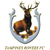 แทมปิเนส โรเวอร์ส logo