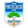 Asd Pineto Calcio logo