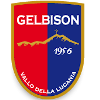 เกลบิซัน logo