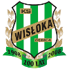 Wisloka Debica logo