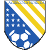 FC Agricola Borcea logo