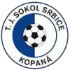 TJ Sokol Srbice logo