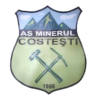Minerul Costesti logo