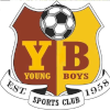 Mumbai Young Boys logo