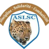 Leopard St Camille logo