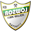 Rozwoj Katowice U19 logo
