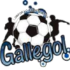 CD Gallegol S.A.S. logo