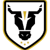 Northbridge FC Bulls U20 logo