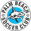 Palm Beach SC B logo