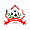 Point Michel FC logo