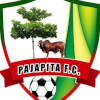 Pajapita FC logo
