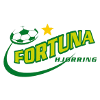 ฟอร์ทูน่า ฮจอร์ริ่ง  (ญ) logo