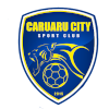 Caruaru City FC logo